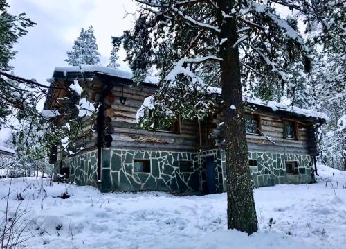 ein Blockhaus im Schnee mit einem Baum in der Unterkunft Kelogornitsa in Kittilä