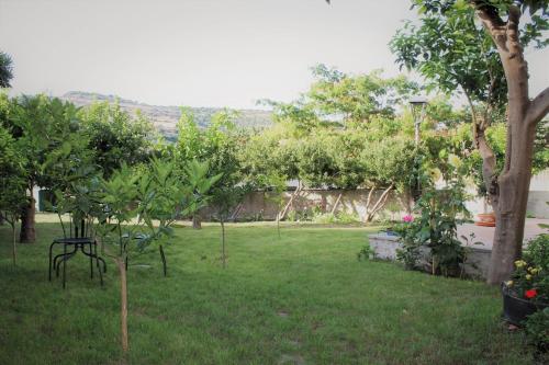 Gallery image of Il giardino degli aranci in Modolo