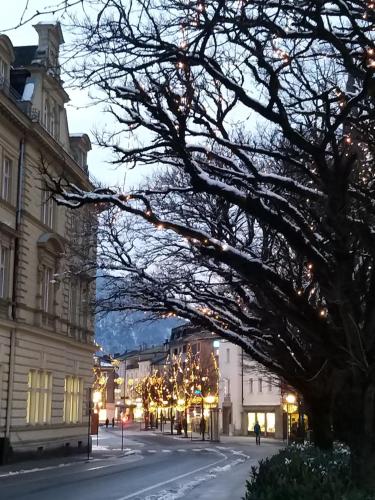 a city street with christmas lights and a tree at CHILL&SLEEP Bad Ischl in Bad Ischl