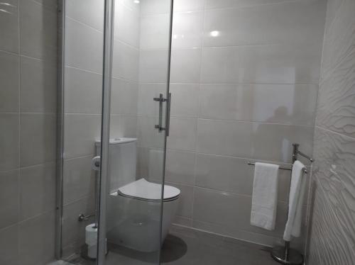 a bathroom with a toilet and a glass shower at Apartment - Vista Alegre in Ponte de Lima
