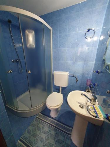 a bathroom with a toilet and a shower and a sink at Casa Cerbu in Arieşeni