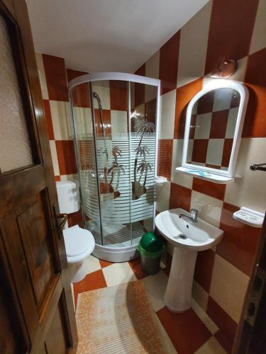 a bathroom with a shower and a sink and a toilet at Casa Cerbu in Arieşeni
