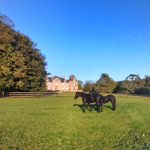 two horses standing in a field in front of a house at Château de Chantore in Bacilly