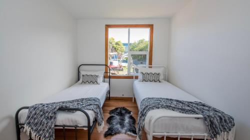 two beds in a room with a dog laying between them at Jetty's End Bicheno in Bicheno