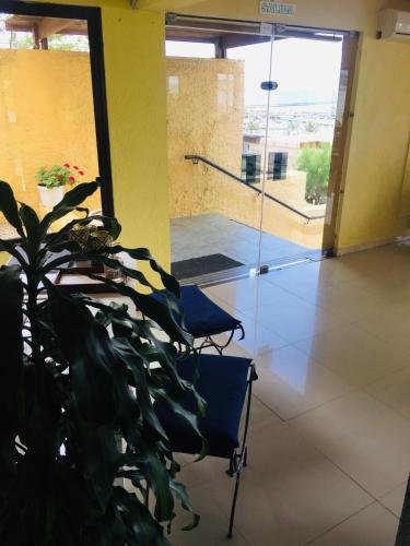 a plant in a room with a chair and a glass door at San Remo Terrazas Hotel in Piriápolis