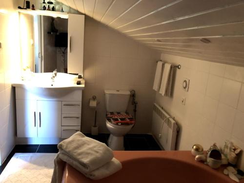 Amelia في Port-Valais: حمام صغير مع مرحاض ومغسلة