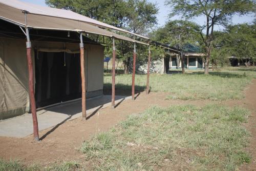 a tent in a field with a building in the background at Osero Serengeti Luxury Tented Camp in Banagi