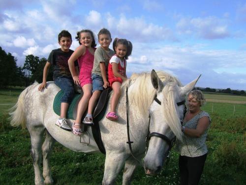 un grupo de niños montados sobre un caballo en Chambres d'hôtes Le Forgeron, en Châteaumur