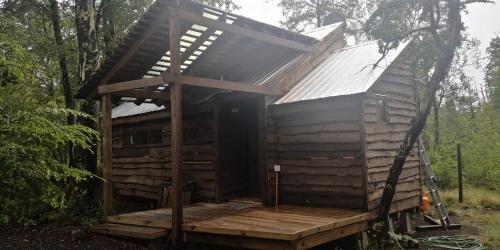 Lodge Palguin Alto – Photos 2