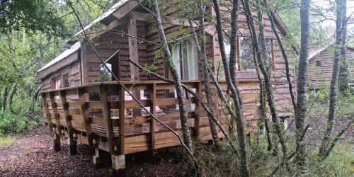 Lodge Palguin Alto – Photos 5