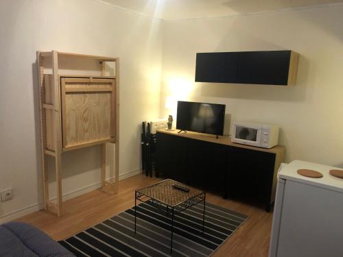 ein Wohnzimmer mit einem Flachbildfernseher an der Wand in der Unterkunft Studio au centre des 2 alpes in Les Deux Alpes