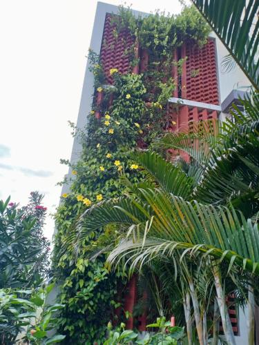 a building with plants on the side of it at Mango Tree Homestay in Hampi