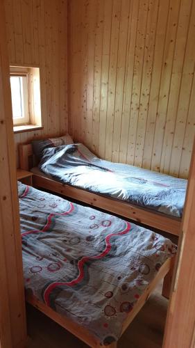 2 stapelbedden in een hut met een raam bij Camping Marina in Sulęcin