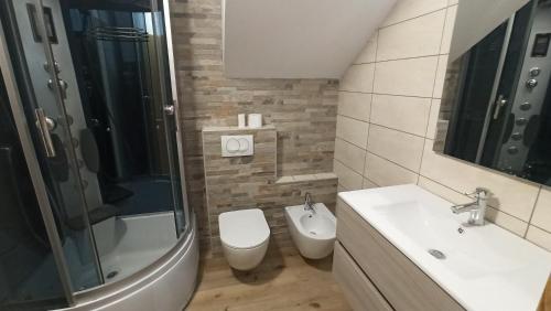 e bagno con servizi igienici, lavandino e doccia. di Apartma Apollonio a Črni Kal