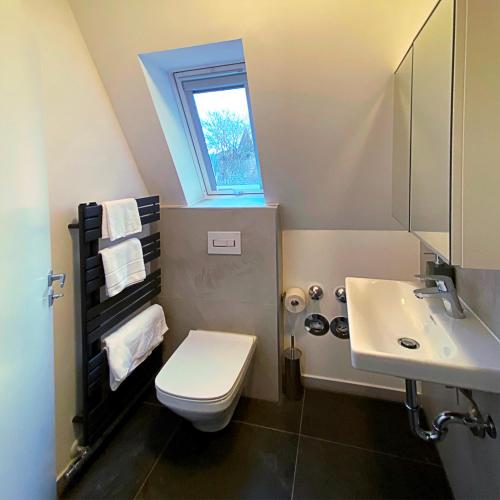 a bathroom with a toilet and a sink and a window at Nurban Apartments Oldtown in Nürnberg