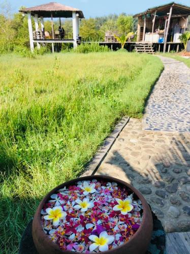 a bowl filled with flowers in the grass with a house at Moon Nest in Dhoāpālong