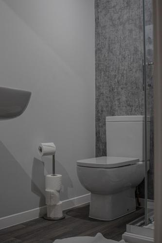 a bathroom with a toilet and a shower at Abbey Court Guest House in Carlisle
