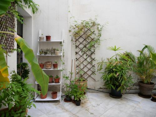 Apartamento Daoiz
