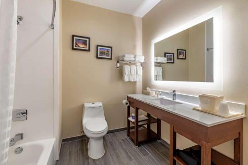 a bathroom with a sink and a toilet and a mirror at Comfort Suites West Memphis I-40 I-55 in West Memphis