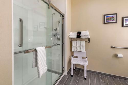 a bathroom with a shower with a glass shower stall at Comfort Suites West Memphis I-40 I-55 in West Memphis