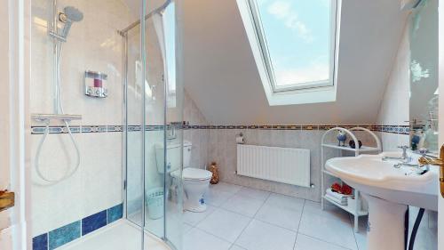 a bathroom with a shower and a toilet and a sink at Ross Beach Family Farmhouse B&B in Killala