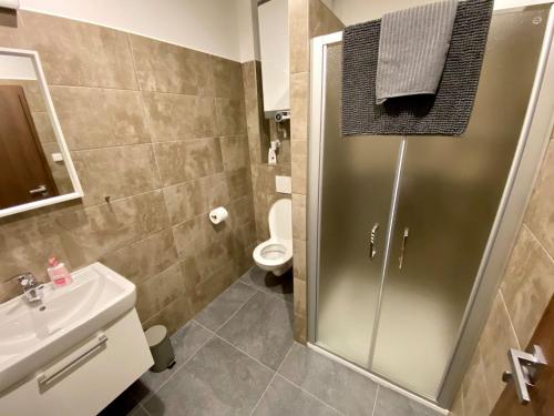 y baño con ducha, lavabo y aseo. en Apartmány Pelhřimov, en Pelhřimov