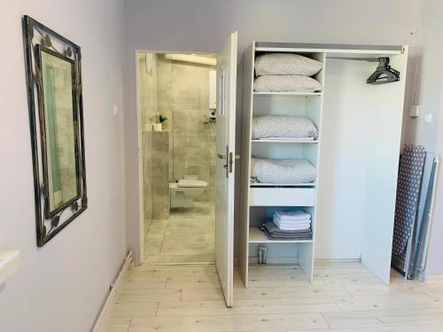 a bathroom with a shower and a walk in closet at Apartament Komfort Centrum Ustroń in Ustroń