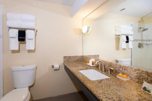 La salle de bains est pourvue d'un lavabo, de toilettes et d'un miroir. dans l'établissement Caravelle Hotel, à Christiansted