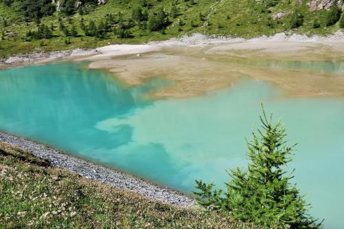 a blue pool of water with a tree in it at Apartment Tauernfex Kaprun in Kaprun