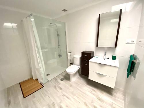 a bathroom with a toilet and a shower and a sink at Apartamento MEDAL in El Cotillo