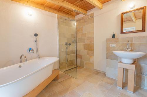 a bathroom with a tub and a sink and a shower at Nengshof Ferienhaus Glockenblume in Wißmannsdorf