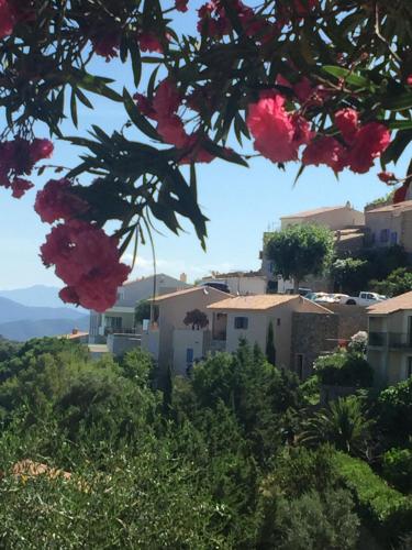 Vista di Sognu – Photos 5