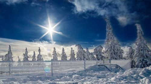 a snow covered fence and trees with the sun in the sky at Apartmán Harrachov ADOS 005 Mumlava in Harrachov