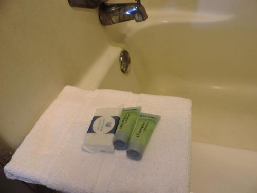 y baño con toalla, 2 cepillos de dientes y bañera. en Riata Inn - Marfa en Marfa