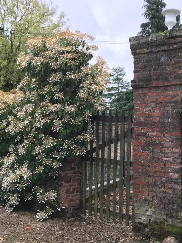 a fence with a bush next to a brick wall at CHATEAU D HUGLEVILLE in Hugleville-en-Caux