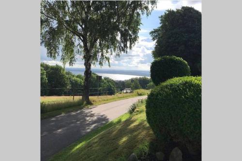 a road with a tree on the side of it at Villa med fantastisk utsikt in Båstad