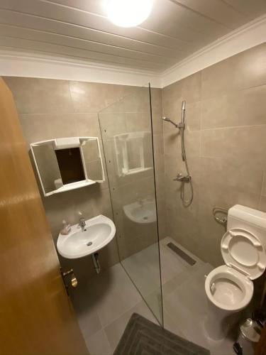a bathroom with a shower and a toilet and a sink at Pension Günther in Graz