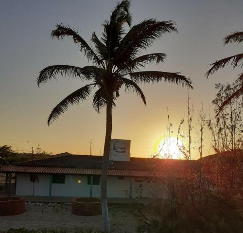 a palm tree with the sunset in the background at Pousada e Restaurante Tremembé in Icapuí
