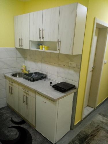 Apartmani SANにあるキッチンまたは簡易キッチン