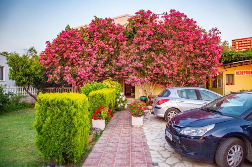 a tree with pink flowers in front of a house at Apartments Oliva in Utjeha