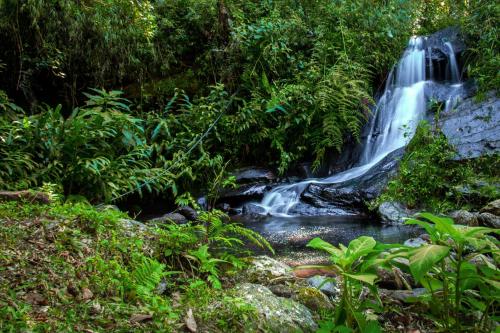 a waterfall in the middle of a forest at Chalé Morada das estrelas in Aiuruoca