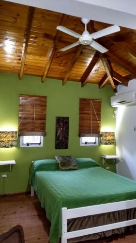 a green bedroom with a bed and a ceiling fan at La Daimalé Apart in Colón