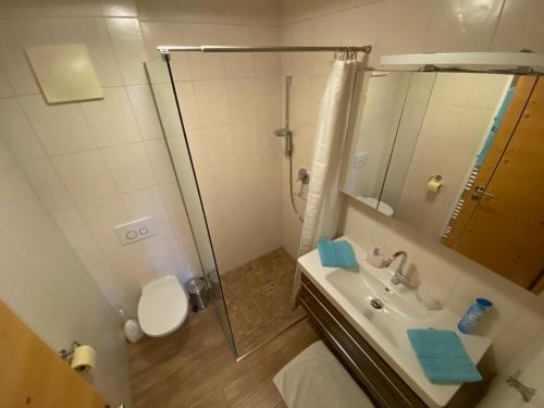 uma casa de banho com um WC, um lavatório e um chuveiro em Ferienwohnung Genner em Kitzbühel