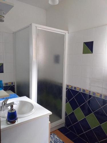 une salle de bain avec douche et lavabo dans l'établissement Chez Mamie Riclaude, à Orsan