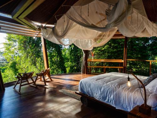 Gallery image of La Loma Jungle Lodge and Chocolate Farm in Bocas Town
