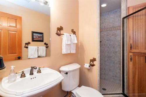 a bathroom with a toilet and a sink and a shower at Double Eagle Way 102 in Telluride