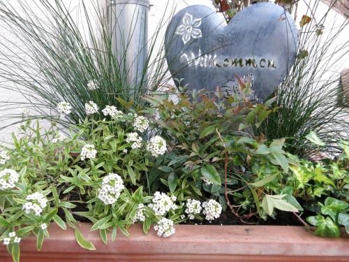 a flower garden in a pot with a sign at Gästehaus "Auszeit" in Burgschwalbach