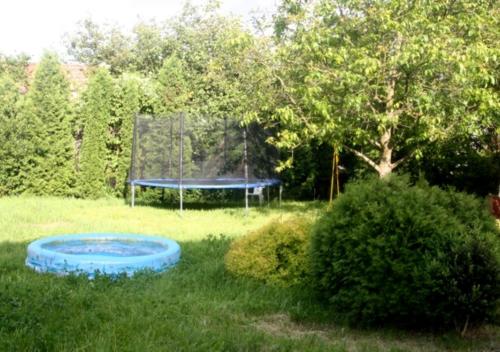 a blue frisbee in the grass next to a trampoline at Apartamenty Górki Małe in Tuszyn