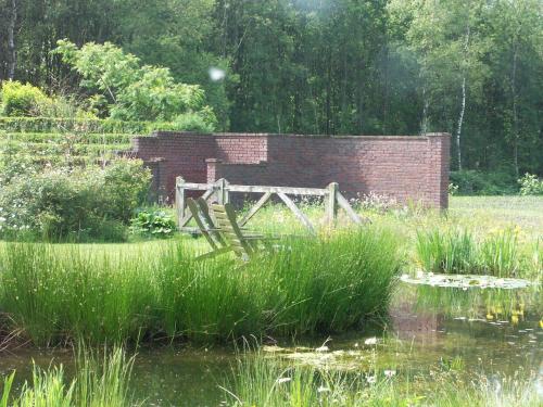 a wooden bench sitting in the grass next to a pond at Selatuinen in Appelscha