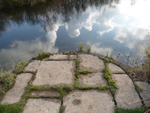a stone path in the water with clouds in the sky at Selatuinen in Appelscha